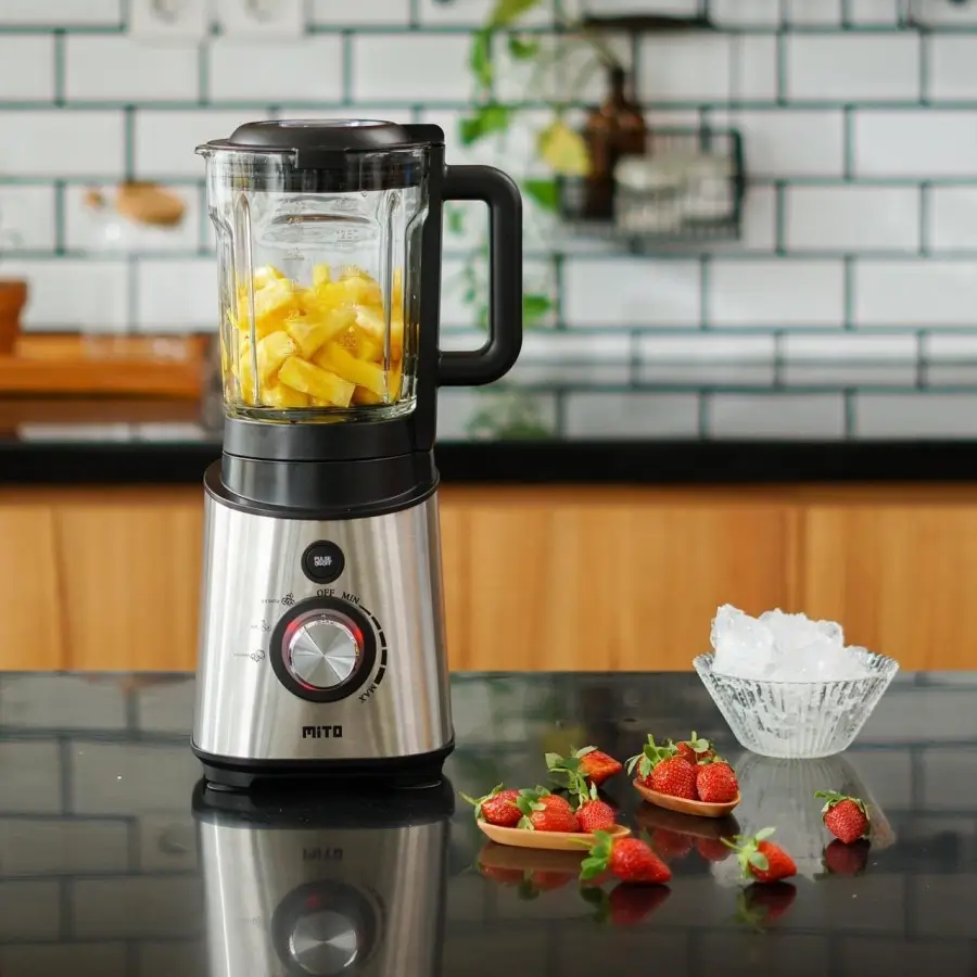 Blender Mito BL100